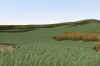 Armuchee_4-2.jpg (51366 bytes)