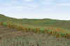 Chattoogavilley3_4-14.jpg (310547 bytes)