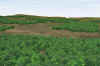 Indian Mountain_Maxquility2_4-14.jpg (359337 bytes)