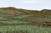 Livingston_11am_1_4-14.jpg (336954 bytes)