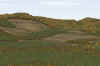 Livingston_11am_Mix4_4-26.jpg (333977 bytes)