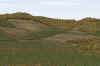 Livingston_11am_Mix6_4-26.jpg (336850 bytes)