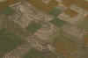 Livingston_1500m_shorter trees_original place_1blur_3pm_R1500x1000_5-10.jpg (878179 bytes)