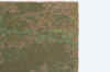 Livingston_2000m_shorter tree_overhead_1pm_5-9.jpg (295798 bytes)