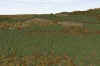 Livingston_300m_Facing North_1pm_5-7.jpg (354259 bytes)
