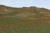 Livingston_300m_more grass_shorter trees_original place_3pm_300_5-11.jpg (3502829 bytes)