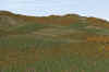 Livingston_300m_shorter trees_original place_3pm_R72_5-9.jpg (223913 bytes)