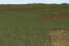 Livingston_350m_5classies_1pm_facing East_R1000x667_.9p_2_5-16.jpg (434989 bytes)