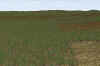 Livingston_350m_5classies_1pm_facing East_R1000x667_5-16.jpg (418031 bytes)