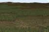 Livingston_350m_5classies_1pm_facing South_R1000x667_.9p_5-16.jpg (467297 bytes)