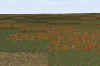 Livingston_350m_5classies_3pm_R1000x667_5-14.jpg (422528 bytes)