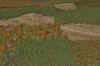 Livingston_400m_Facing North2_1pm_5-7.jpg (389380 bytes)