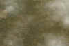 Livingston_overhead4_4-27.jpg (406737 bytes)