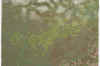 Livingston_overhead_14.6Km_5classies_3pm_R1000x667_5-16.jpg (447209 bytes)