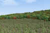 Rock Mountain_cloud5_4-19.jpg (345654 bytes)