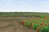 Rockmart North_4-5.jpg (322924 bytes)