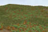 Rome South 5_4-23.jpg (370108 bytes)