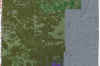 VNS_density_3-16.jpg (104731 bytes)