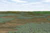 Wax_4-6.jpg (321200 bytes)