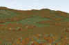 livingston_2010_300m_720x480_6-8.jpg (356046 bytes)